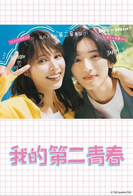 集团网站建设优化技术